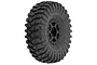 Pro-Line 1.0" Maxxis Trepador on Black Holcomb - Beadlocked Wheels 4Pcs PRO1022510