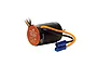 Spektrum Firma 6000Kv brushless motor with integrated ESC, featuring a black finned housing, orange end cap, and blue bullet connectors.