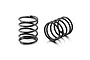 Two black metal RC shock springs, one standing upright and one lying on its side, against a white background.