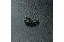 MST 2x4mm Fine Thread Button Head Screws 6Pcs 110004