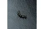 Six small black metal grub screws arranged in a slight arc on a textured black surface.