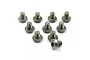 A set of ten small titanium button head screws with fine threads arranged on a white background.