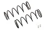 Team Associated White 54mm (4.10 lb/in) Shock Springs 2Pcs 91636