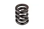 A single black metal coil spring for an RC slipper clutch mechanism, shown against a plain white background.
