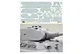 Tamiya 1/35 King Tiger Porsche Turret Zimmerit coating decal sheet and a model tank showing the applied texture.