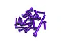 A pile of purple anodized metal socket head screws of various lengths for RC hobby use.
