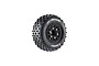 A single Louise SC-Rock short course RC tyre mounted on a black spoked rim with gold-coloured hex hardware against a white background.